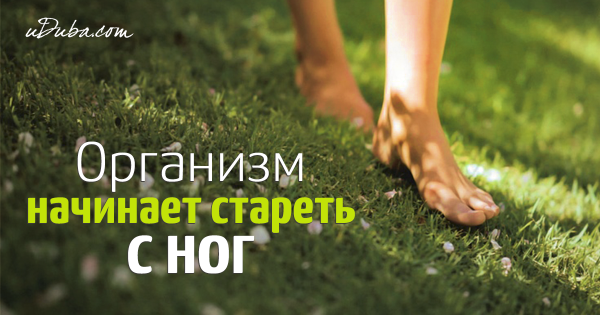 «человек стареет не годами, а ногами», или возрастная физиология сосудов. здоровые сосуды, или зачем человеку мышцы?