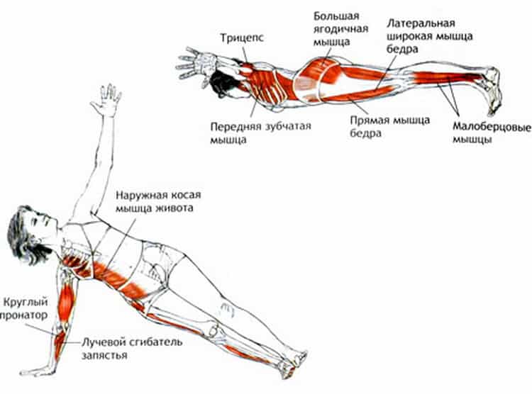 Как правильно делать упражнение ласточка. рассказывает мастер спорта по художественной гимнастике юлия ситникова. какая польза от "ласточки"