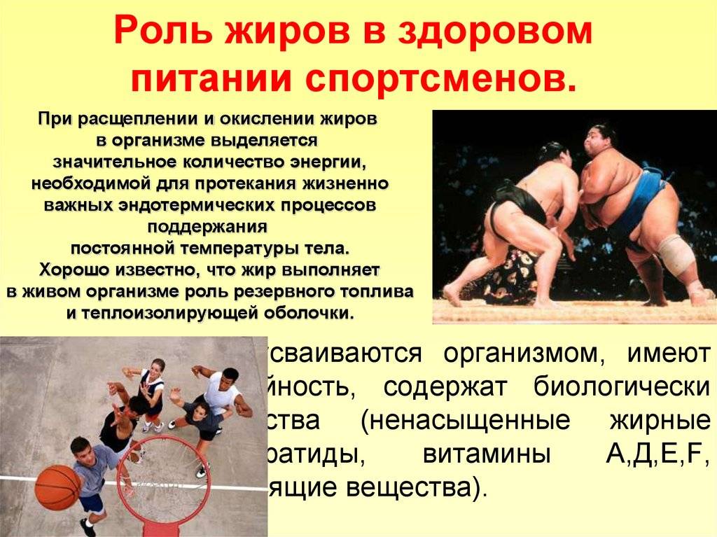 Для чего нужен жир в организме? - fitlabs / ирина брехт