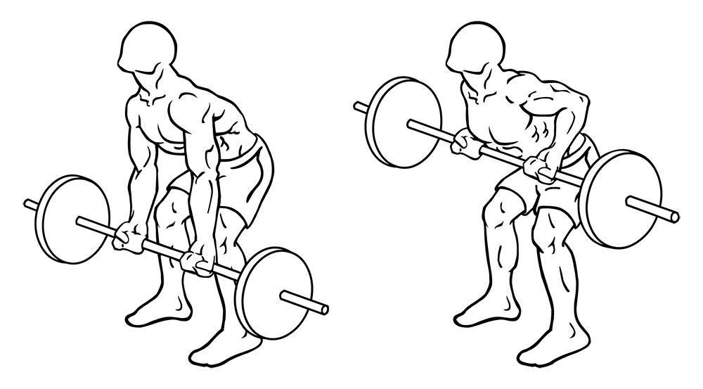 3 вида тяги гантелей в наклоне для эффективного развития мышц спины