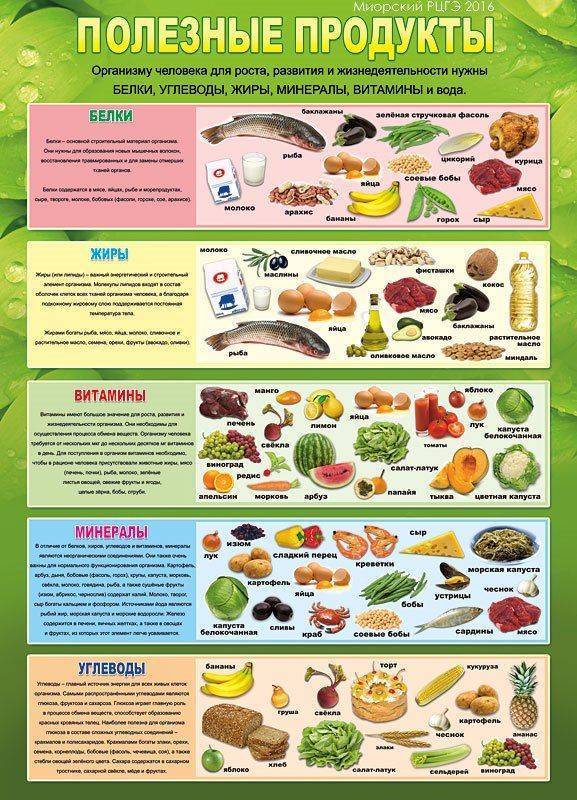 Какие продукты, для каких органов полезны | food and health
