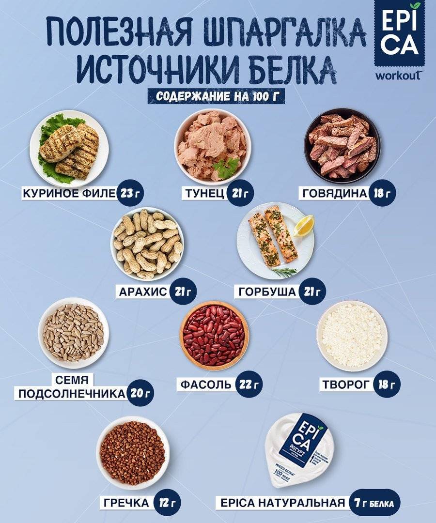 Продукты содержащие белок: таблицы и списки продуктов богатых протеином