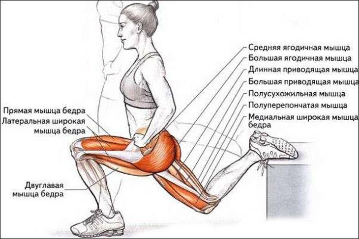 Упражнения с фитнес-резинкой