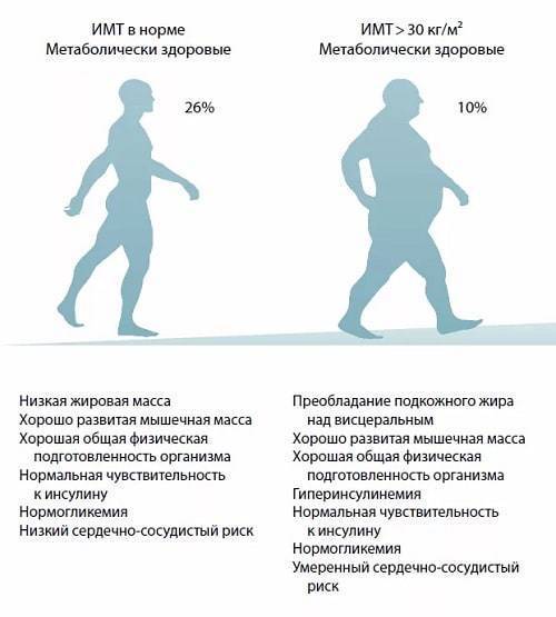 Может ли лишний вес быть здоровым: аргументы в бодипозитивном споре — 5 пунктов