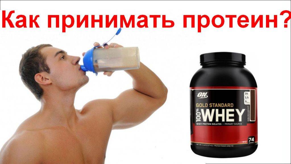Как выбрать лучший протеин в 2022 году