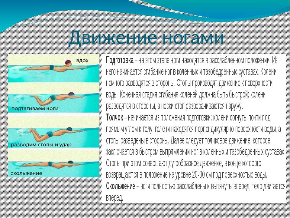 Как научиться плавать? самоучитель по плаванию для начинающих взрослых - tony.ru
