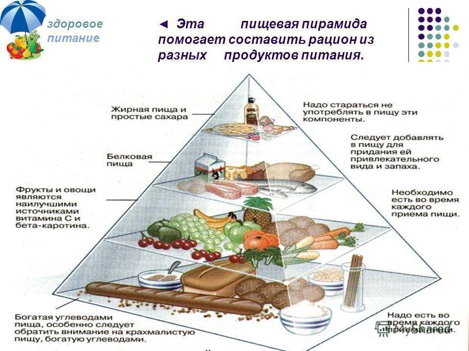 Кормим детей правильно: сбалансированное питание от а до я :: polismed.com