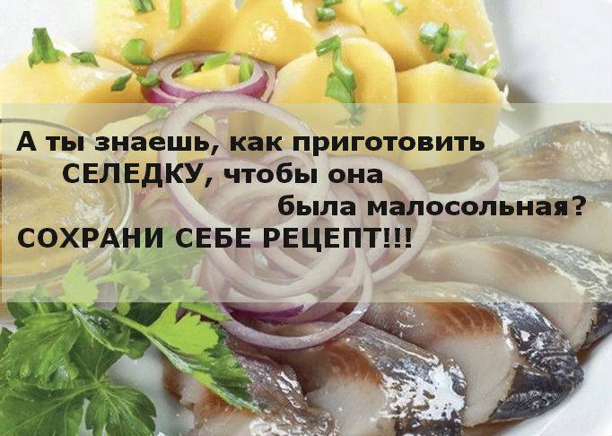 Как выбрать селедку к праздничному столу | simpleslim