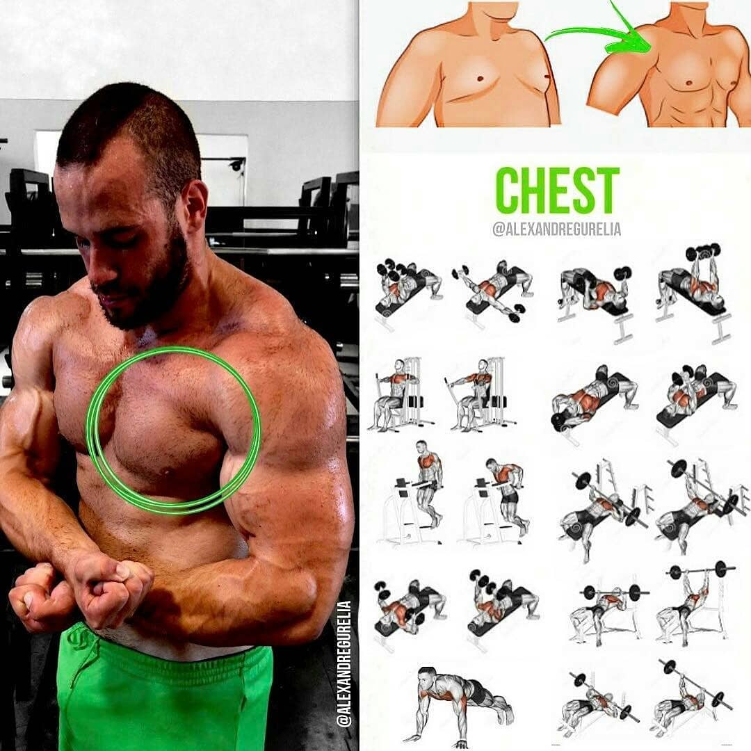 Лучшая программа тренировки грудных мышц