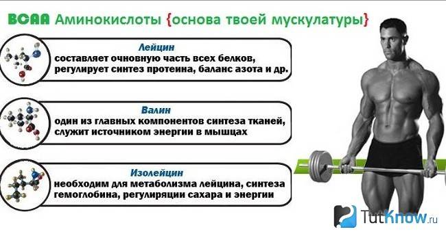 Аминокислоты в бодибилдинге