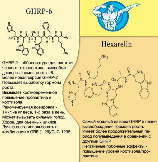 Возрастной дефицит тестостерона у больных сахарным диабетом ii типа