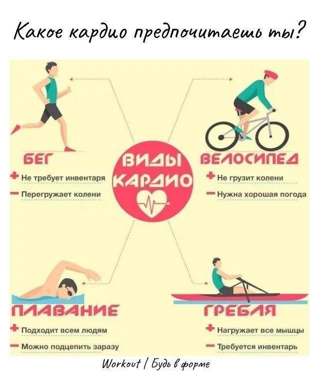 Кардиотренировки: для чего нужны, с чего начинать и как проводить - спорт и здоровый образ жизни - культура, спорт, отдых - жизнь в москве - молнет.ru