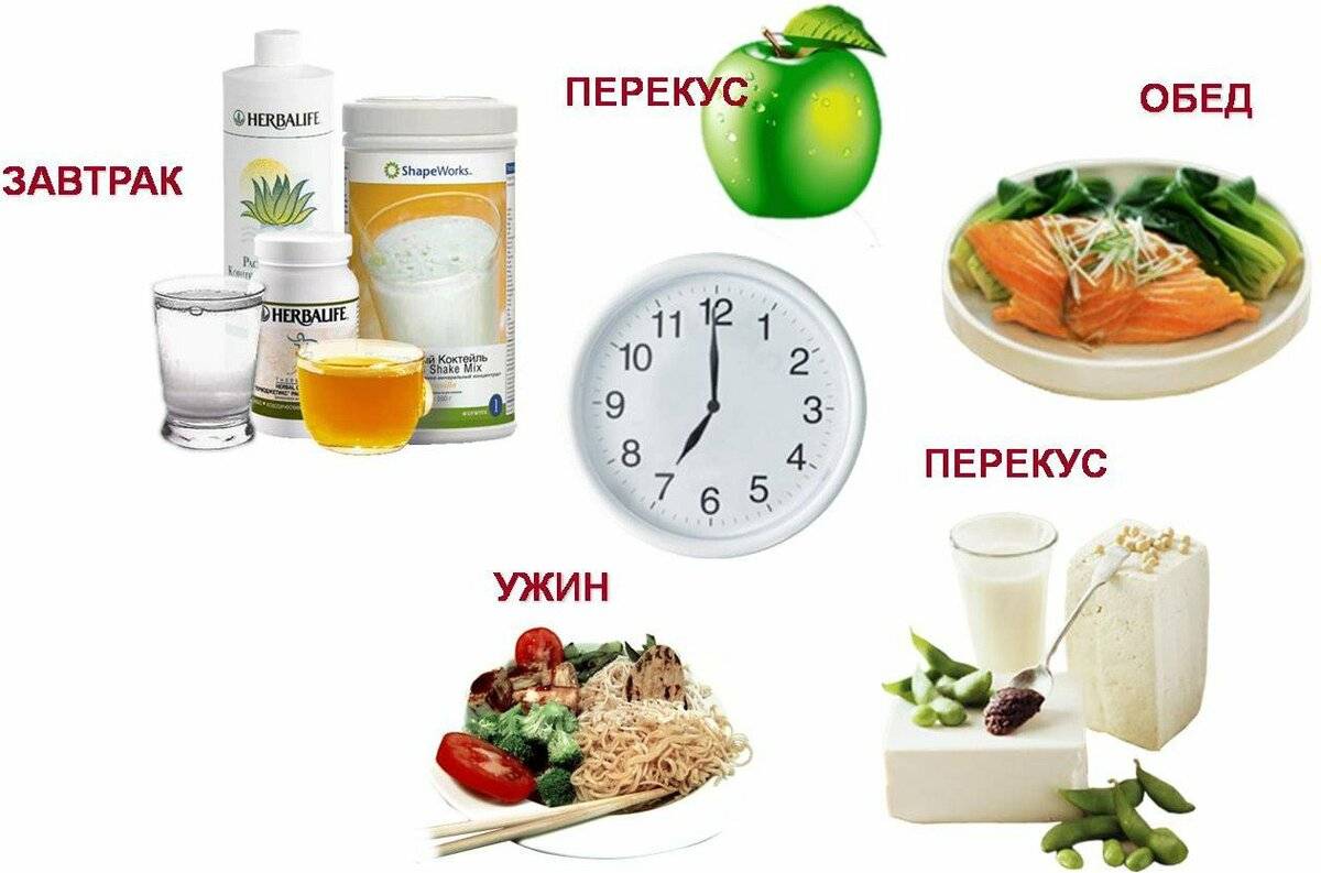 Сколько раз в день нужно питаться, чтобы похудеть