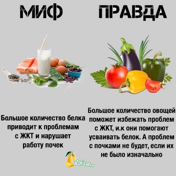 Мифы о питании картинки