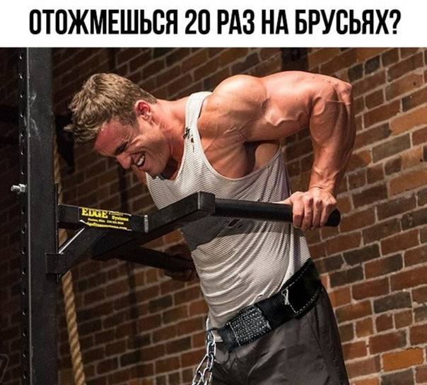 Отжимания на брусьях, польза, разновидности, техника выполнения