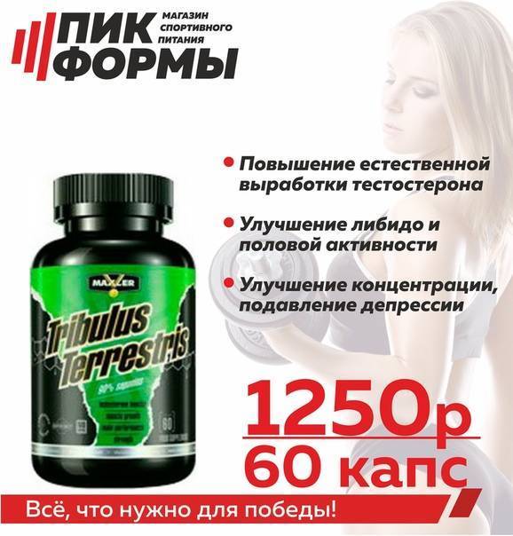 Прием трибулус террестрис в спорте
