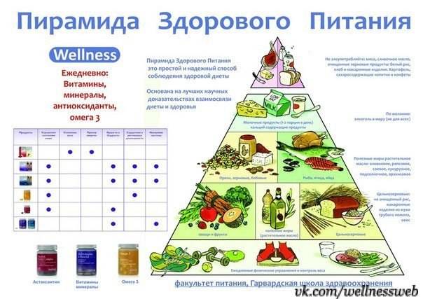 Современные принципы питания при диабете 1 и 2 типа – можно есть все?