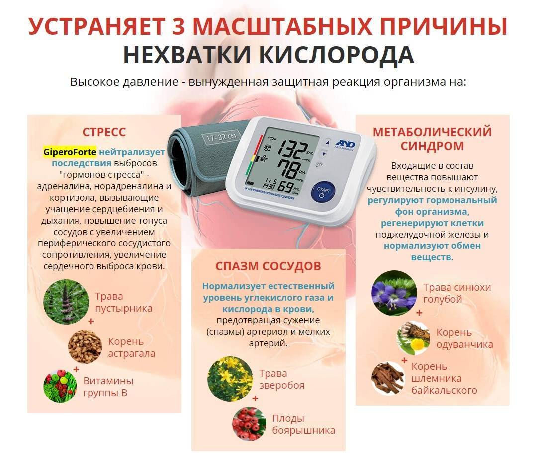 9 советов, как сберечь здоровье дачнику-гипертонику: как не заработать инсульт при сборе урожая?