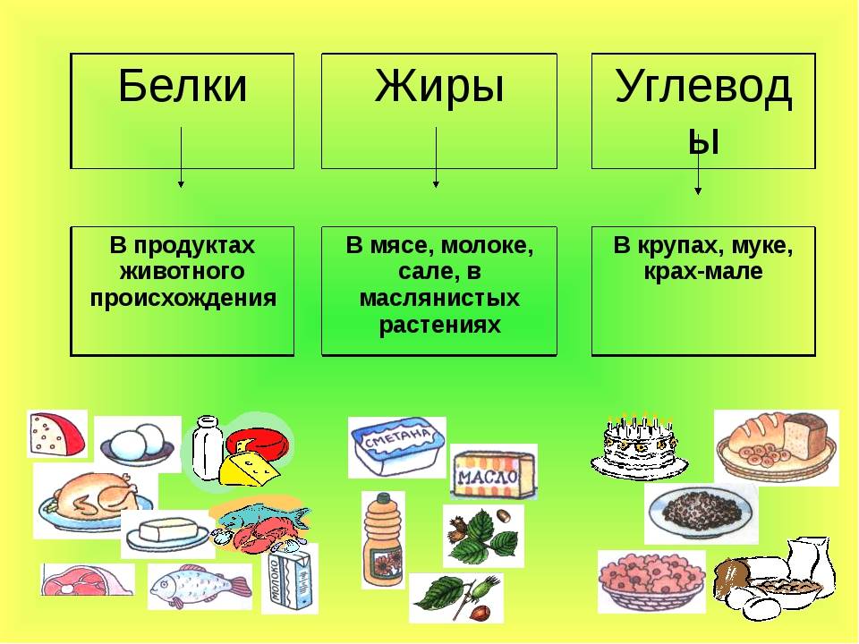 § 39. рациональное питание и его значение для здоровья | учебник 10 - 11 классы. смирнов а.т.