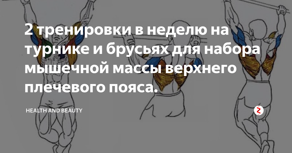 Набор мышечной массы на турнике и брусьях. Тренировки на турнике для набора мышечной массы. План тренировок на турнике. Комплекс упражнений на турнике и брусьях. Упражнения на турнике и брусьях для набора.