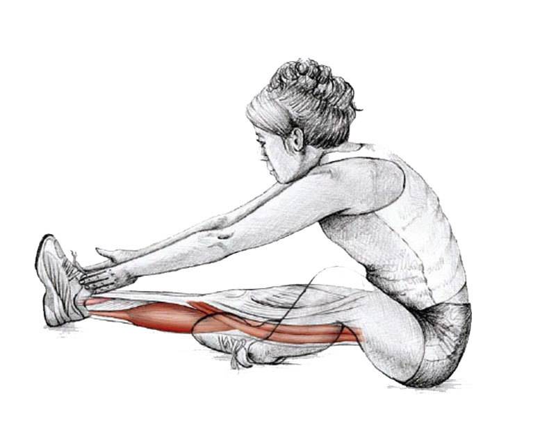 10 упражнений на растяжку ног: как мышцы тянутся на самом деле