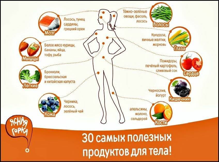 Топ-10 полезнейших продуктов для человеческого организма