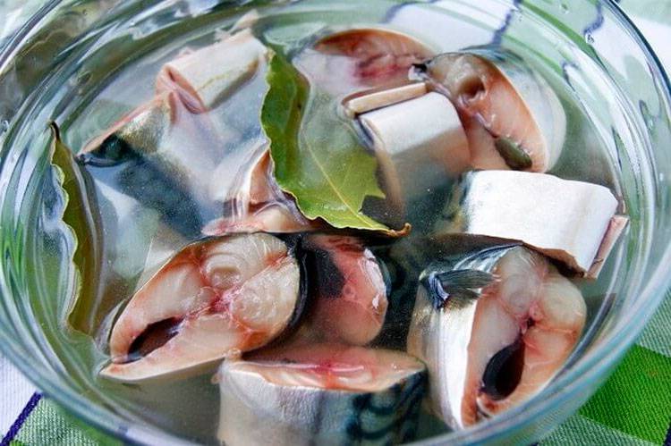 Учимся солить горбушу как слабосоленую семгу — очень быстро, вкусно и просто, проверенные рецепты домашнего посола