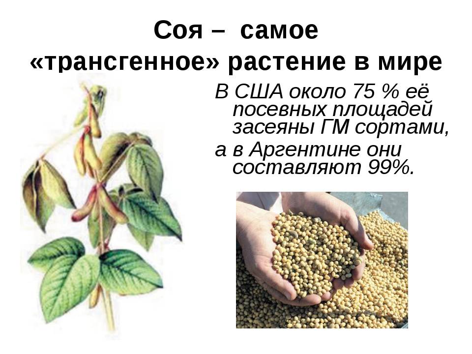 Производство сои