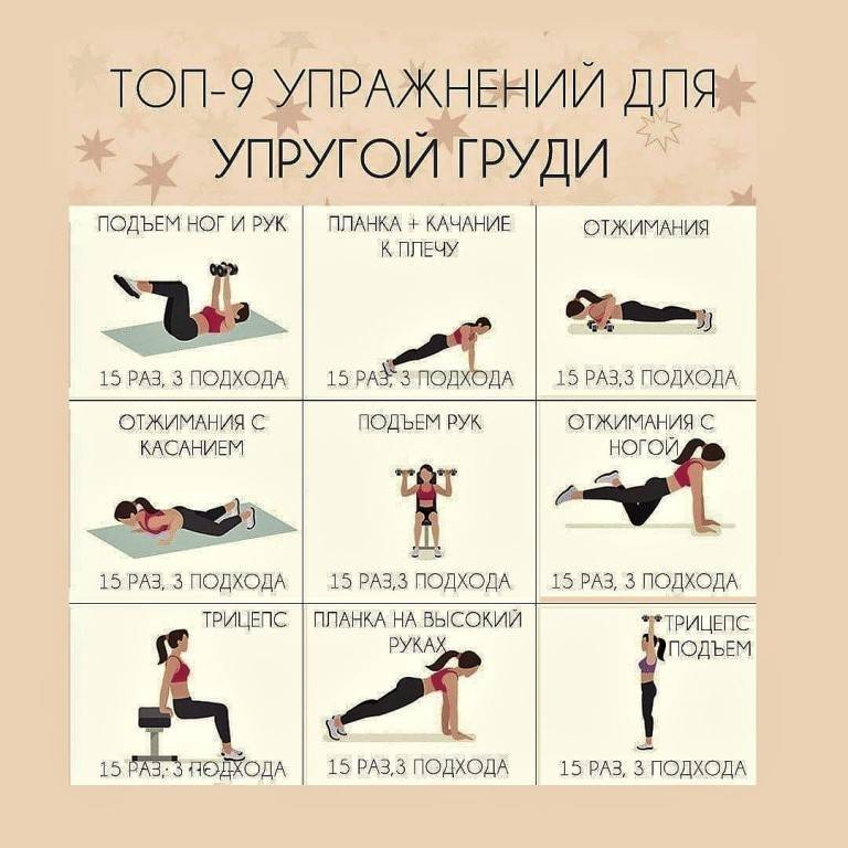 Программа тренировок для девушек в тренажерном зале