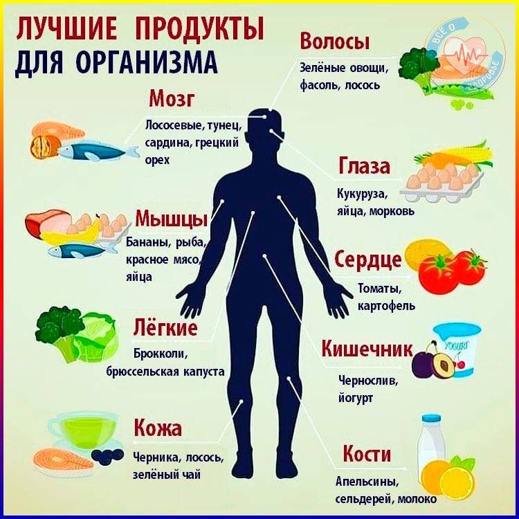 10 самых полезных продуктов для здоровья