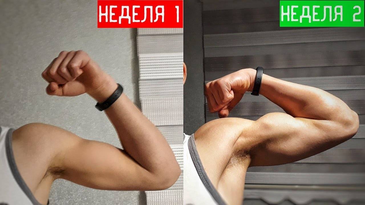 Упражнения для развития и укрепления мышц рук без гантелей