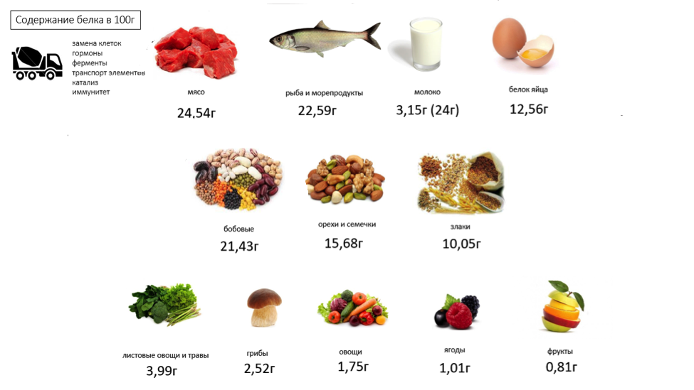 Продукты содержащие белок в большом количестве для мясоедов и вегетарианцев