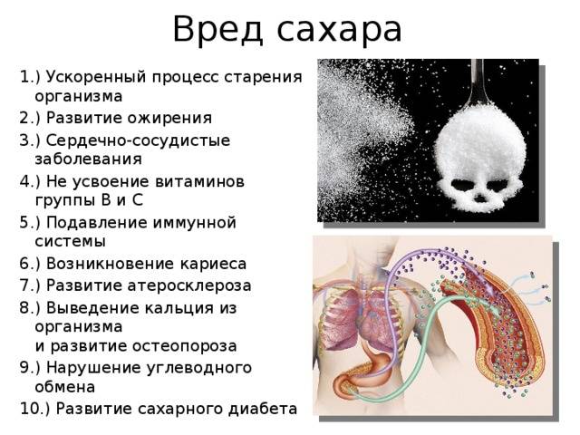 Сладкое не вредно? | fpa