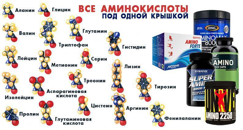 Основы правильного питания для спортсменов