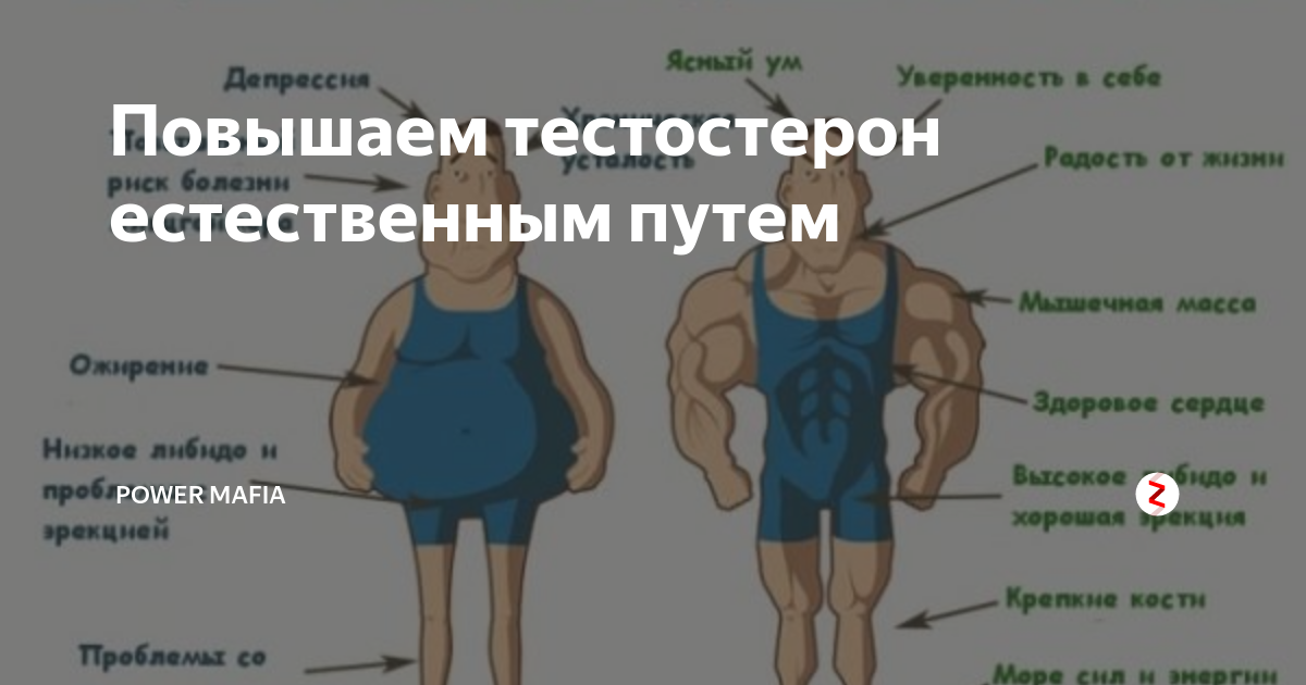 Гормоны роста (соматотропин) человека | анатомия гормонов роста, строение, функции, картинки на eurolab