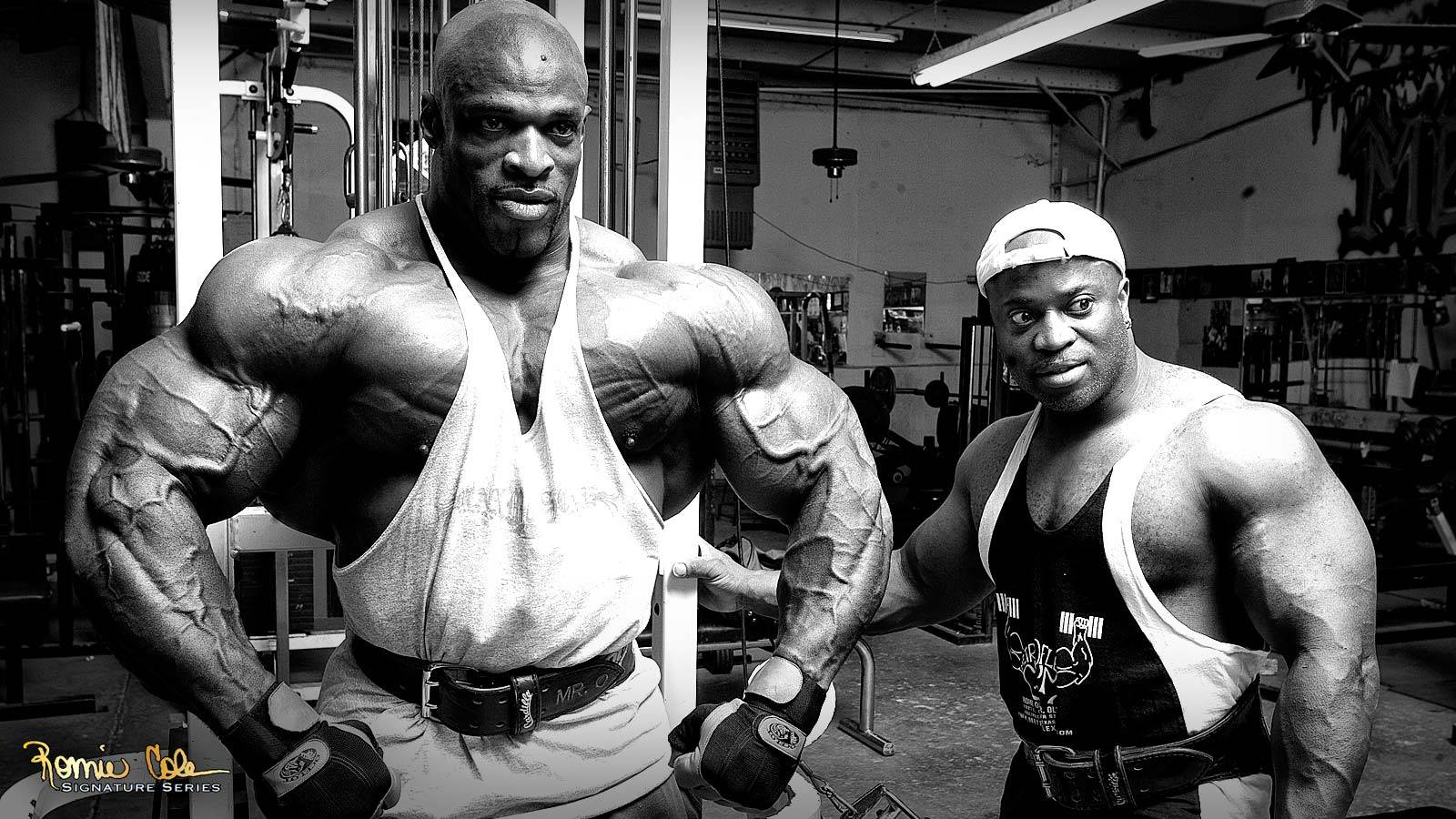 Ronnie coleman signature series