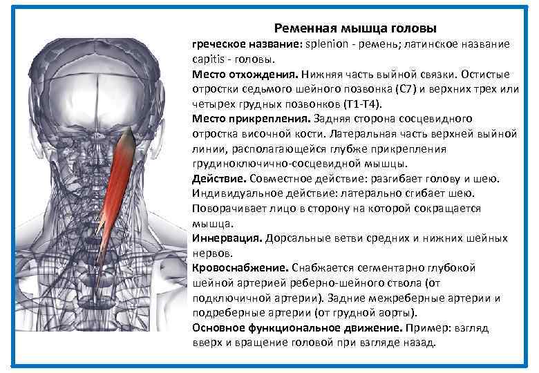 Головная боль при шейном остеохондрозе: лечение в соответствии с причиной