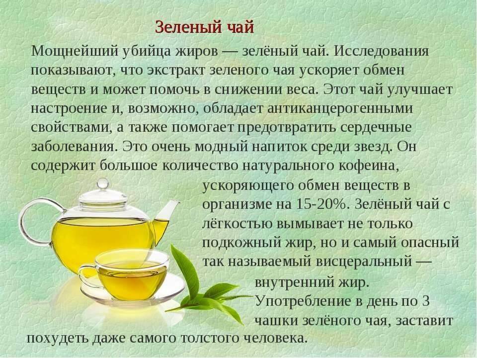 Мифы о пользе зеленого чая