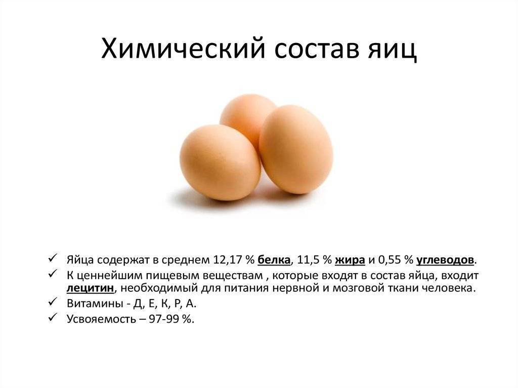 Сколько яиц можно съедать в день: вы знаете ответ?
