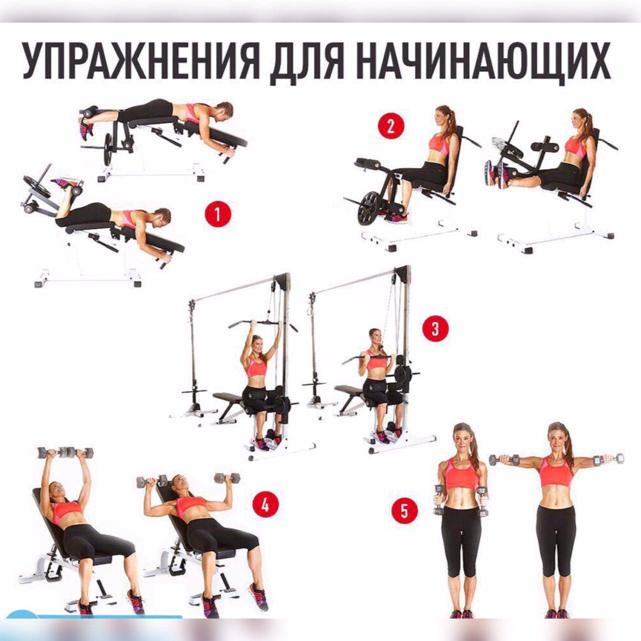 Тренировка в тренажерном зале круговая: что это такое, пример эффективной программы на все группы мышц в спортзале на тренажерах