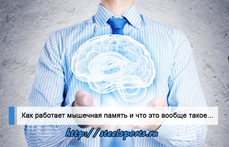 Как развивать мышечную память, виды мышечной памяти