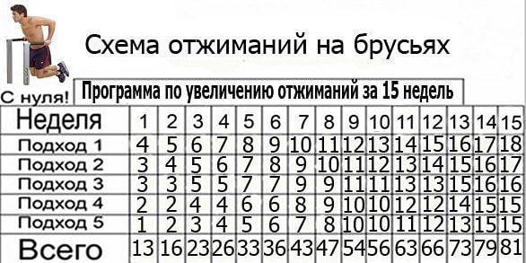 Как увеличить отжимания на брусьях? основные правила - tony.ru