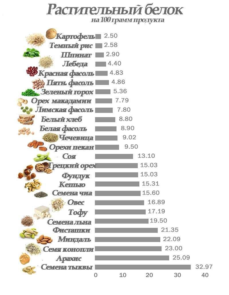 Рейтинг топ-10 продуктов с содержанием белка ★ что есть спортсменам и худеющим
