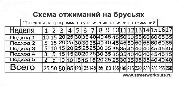 Тренировки на брусьях программа с таблицей
