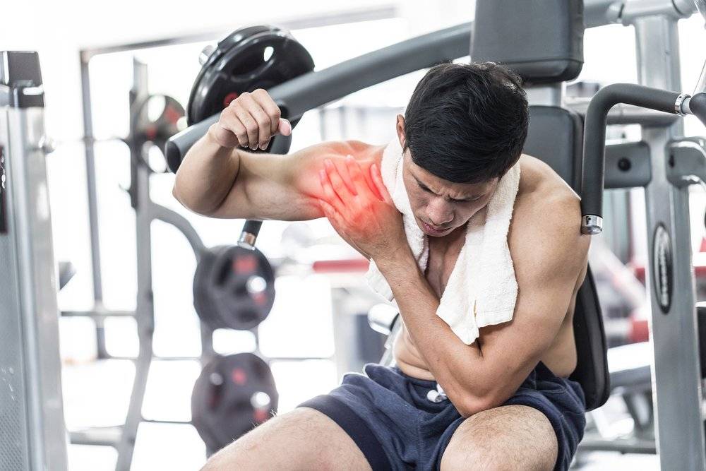 Как вернуть утраченные мышцы после длительного отсутствия тренировок