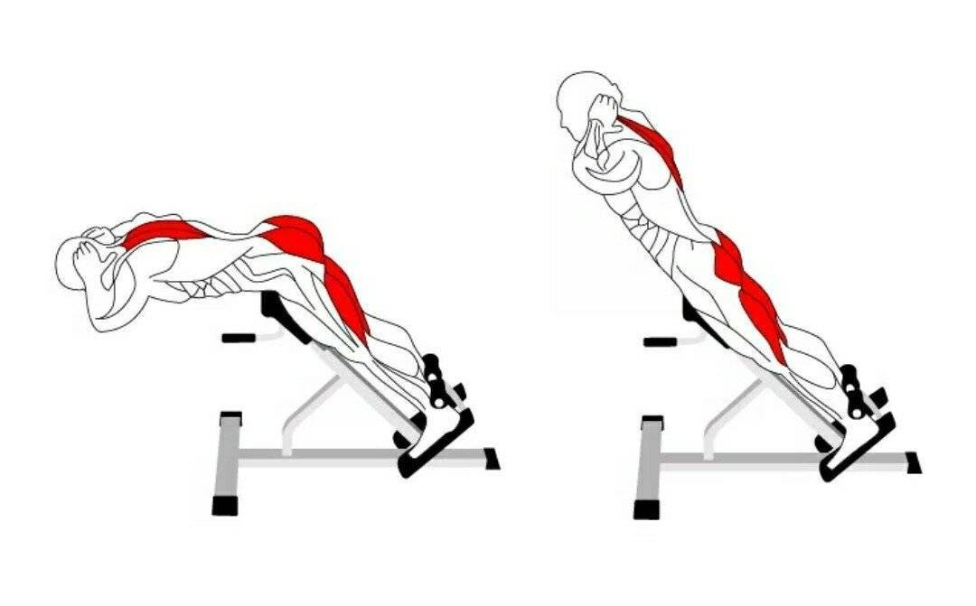 Как сделать поясницу. Горизонтальная гиперэкстензия техника. Гиперэкстензия техника упражнения для спины. Гиперэкстензия упражнение на спину. Гиперэкстензия группы мышц.