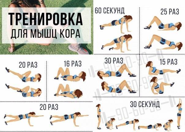 Домашние тренировки для девушек: фитнес программы тренировок, упражнения в домашних условиях