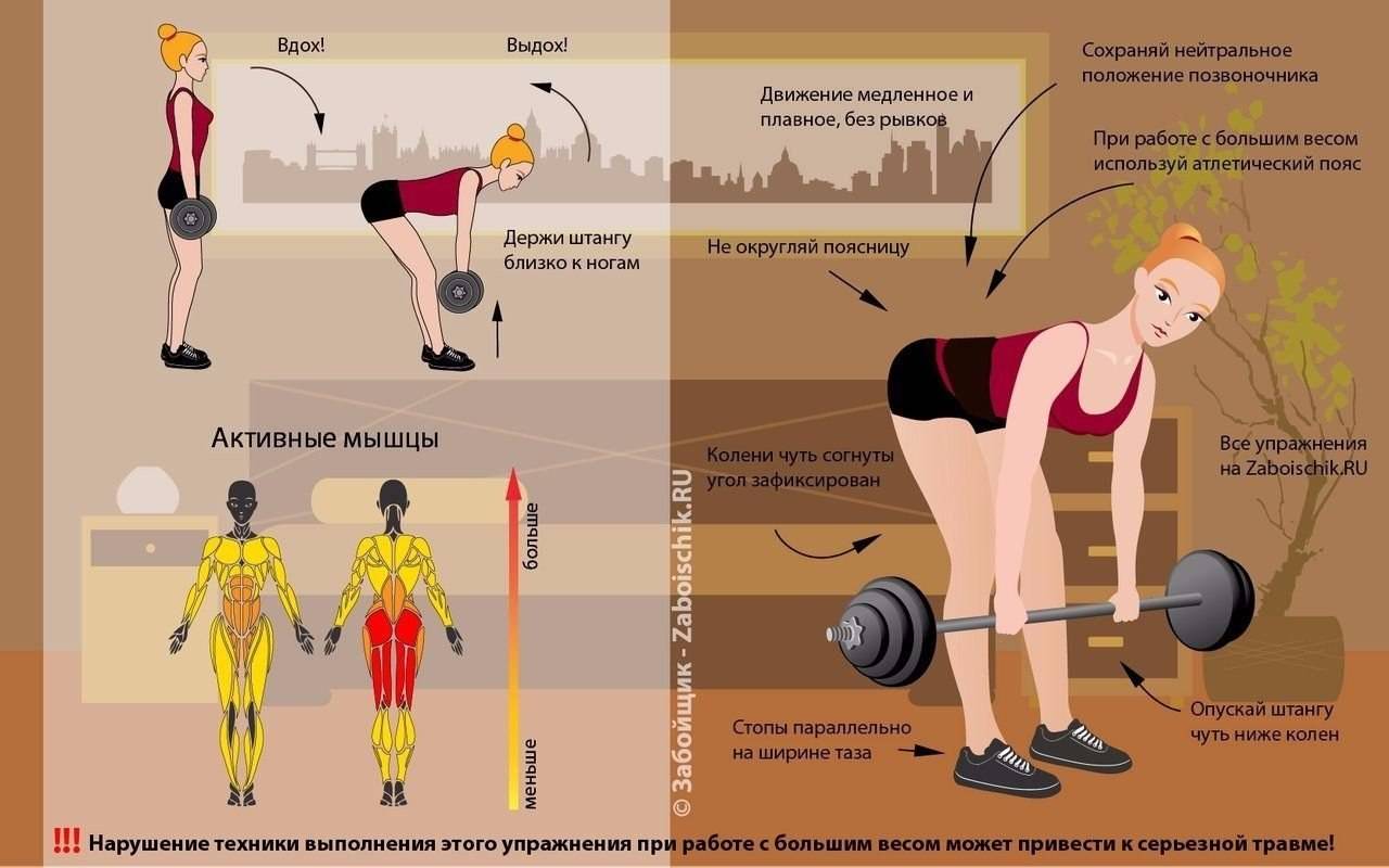Какие мышцы можно качать в один день. какие мышцы следует тренировать вместе? | здоровье человека