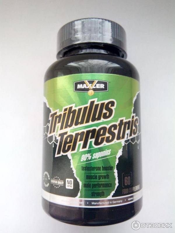 Трибулус террестрис: как принимать для повышению тестостерона
