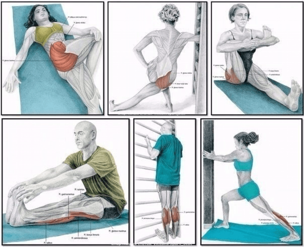 30 упражнений для растяжки мышц ног для бегунов (видео, фото)